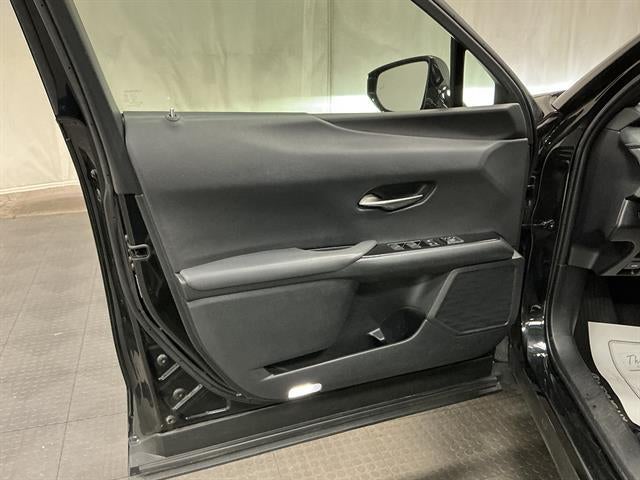 2019 Lexus UX 250h 