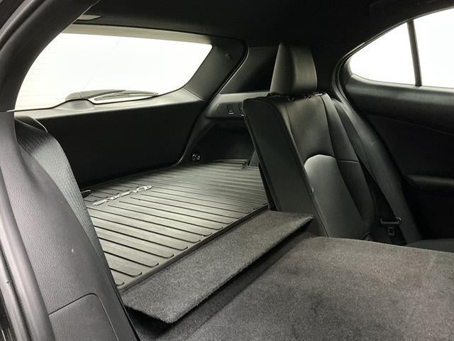 2019 Lexus UX 250h 