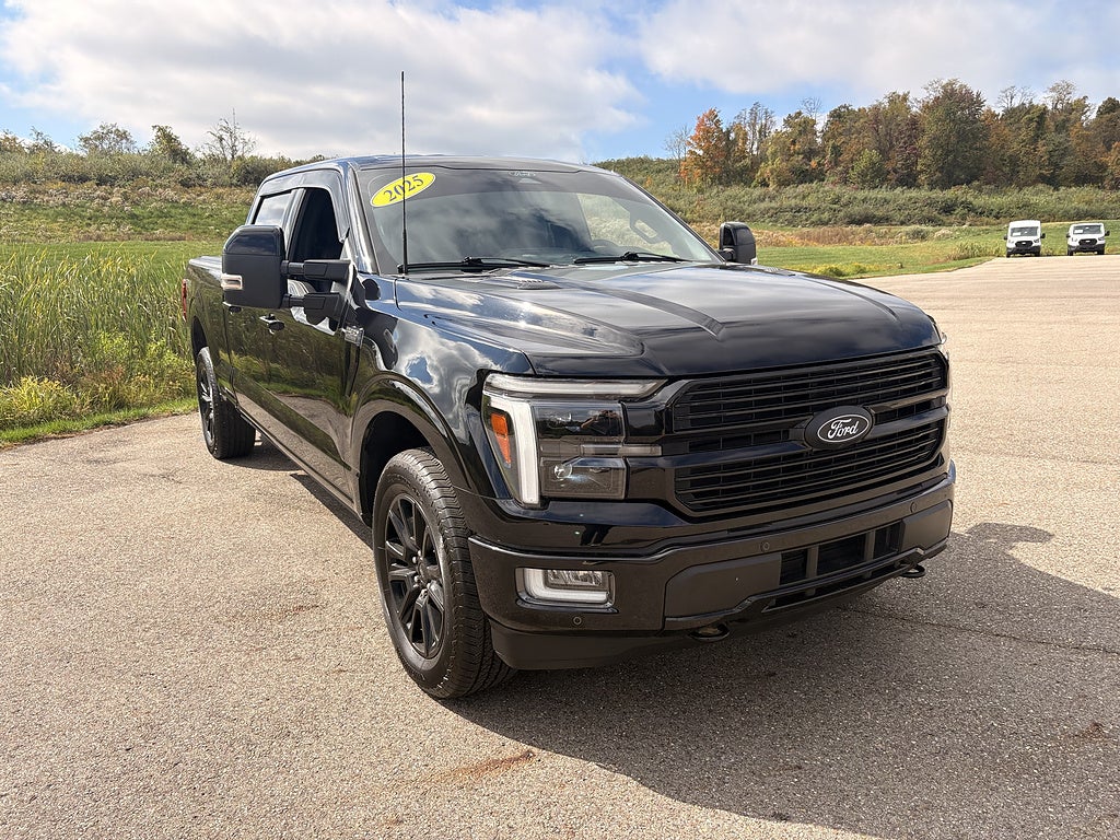2025 Ford F-150 Platinum
