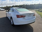 2023 Chevrolet Malibu LS Fleet