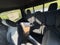 2026 RAM 1500 Warlock Crew Cab 4x4 5'7" Box