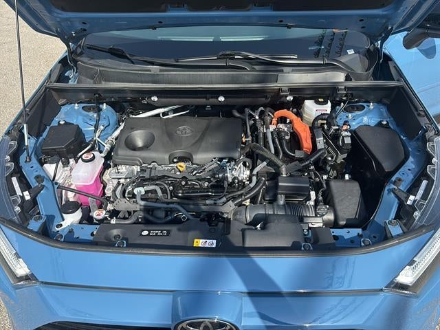 2025 Toyota RAV4 Hybrid XSE AWD (Natl)