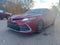 2023 Toyota Camry XLE V6 Auto (Natl)